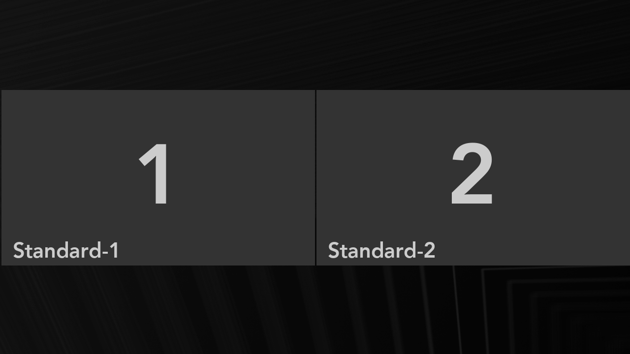 2x1 grid layout with two horizontal participant slots.